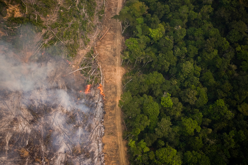 Skovrydning set oppefra, hvor den højre side stadig er skov, mens den venstre side bliver ryddet ved at brænde skoven ned.