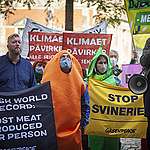 Kristine Clement - Greenpeace Danmark