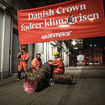 Greenpeace blokerer sojafoder til danske svin på Aarhus Havn: “Danish Crown slagter Sydamerikas skove”