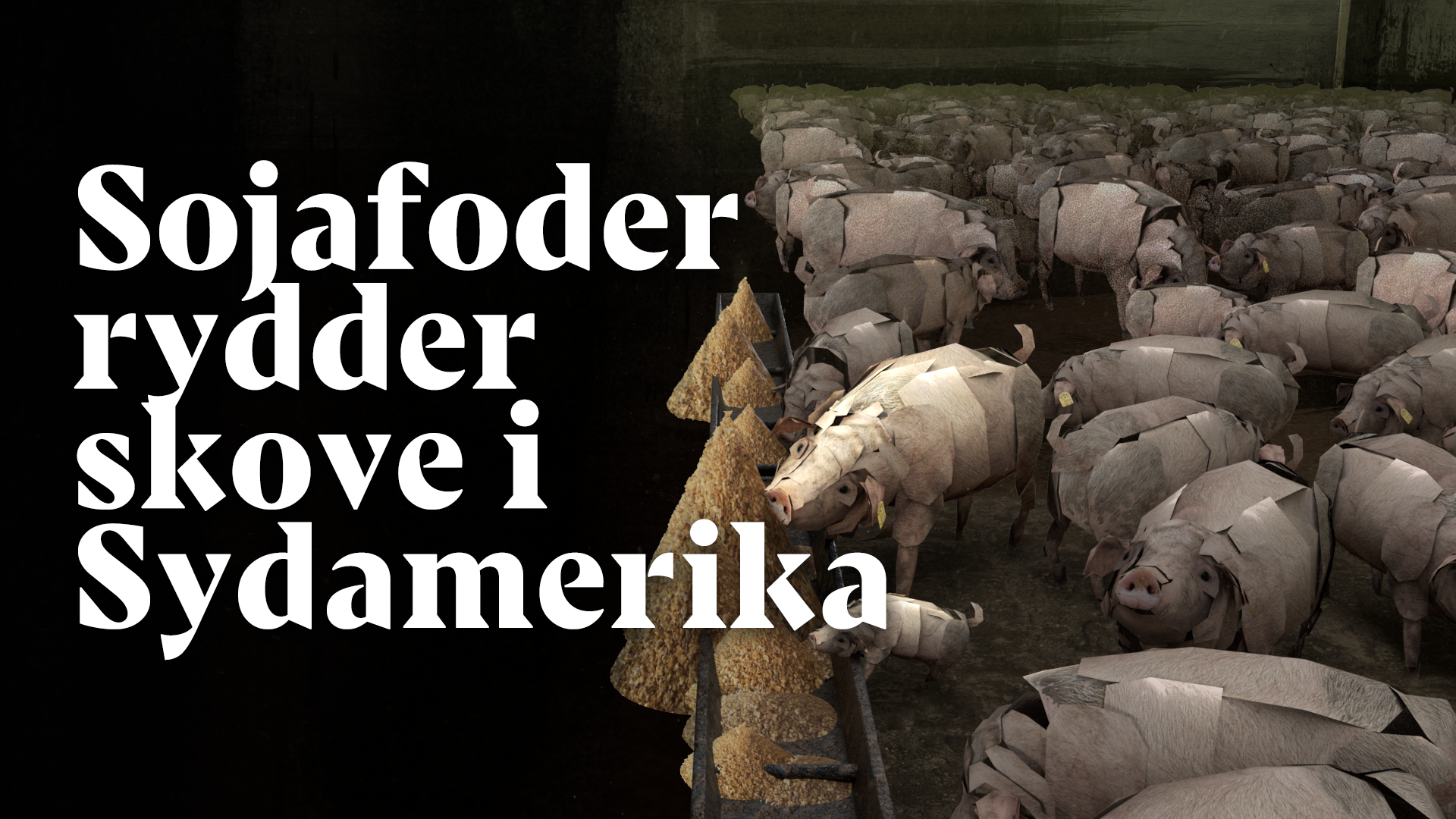 Sojaskrå i svinefoder er bag skovrydning – ikke et restprodukt - Greenpeace Danmark
