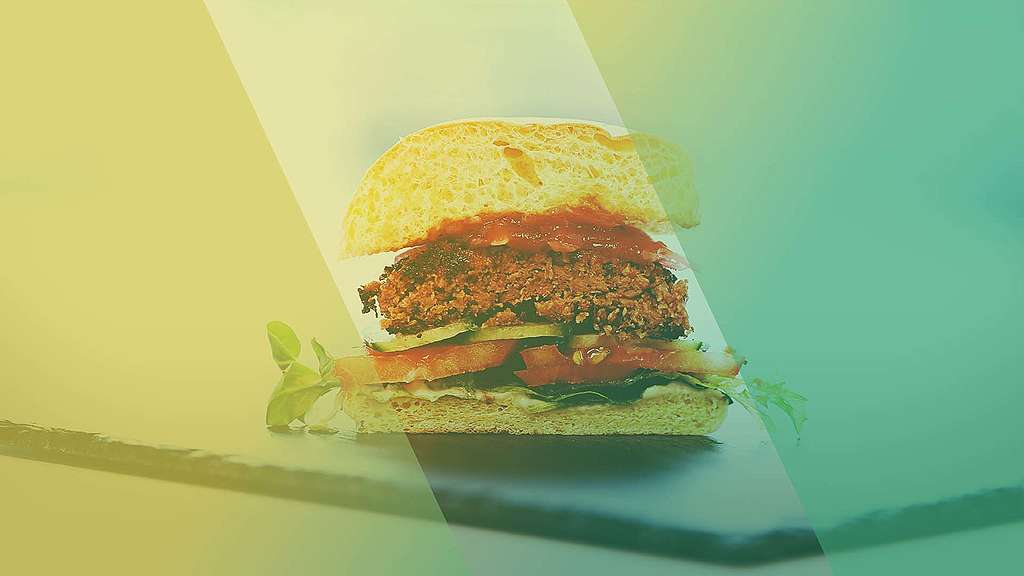 Det smager som kød, klimaaftrykket er 12 gange mindre - Organic Plant Protein Det smager som kød, klimaaftrykket er 12 gange mindre - Organic Plant Protein