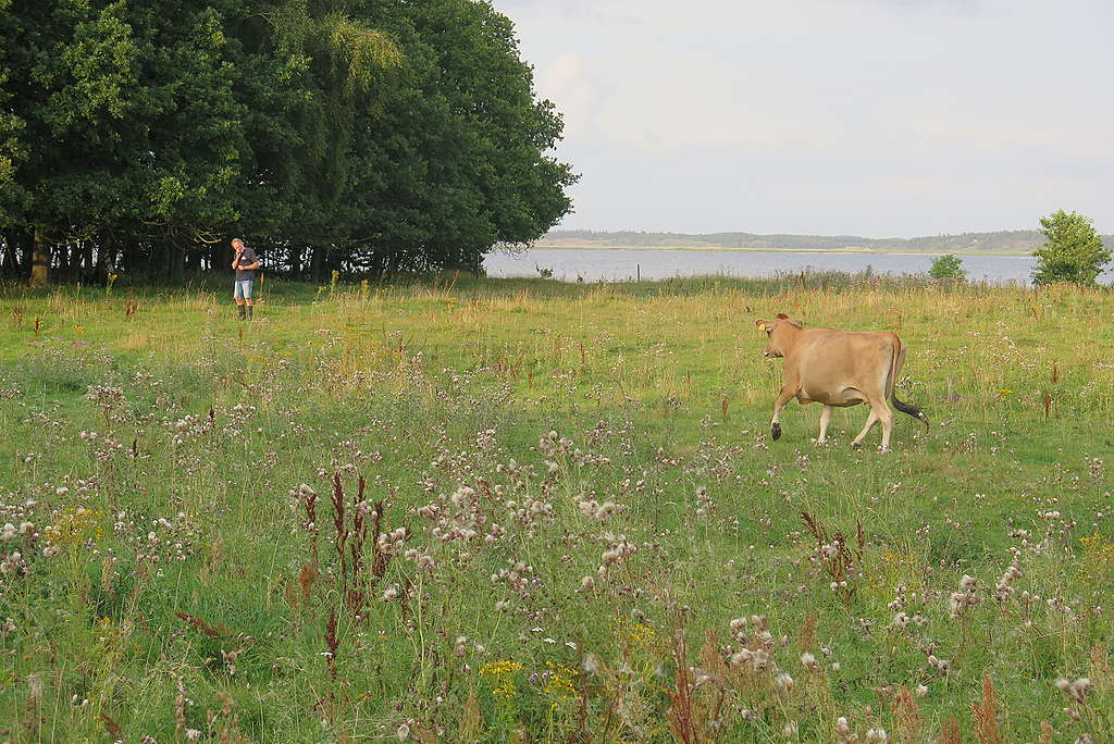 Landbrugsdrift i balance med naturen