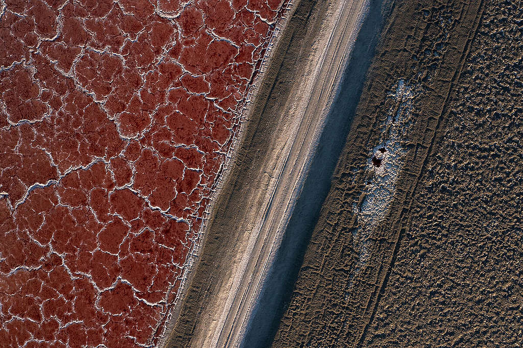California Copes with Worsening Drought. © David McNew / Greenpeace © David McNew / Greenpeace