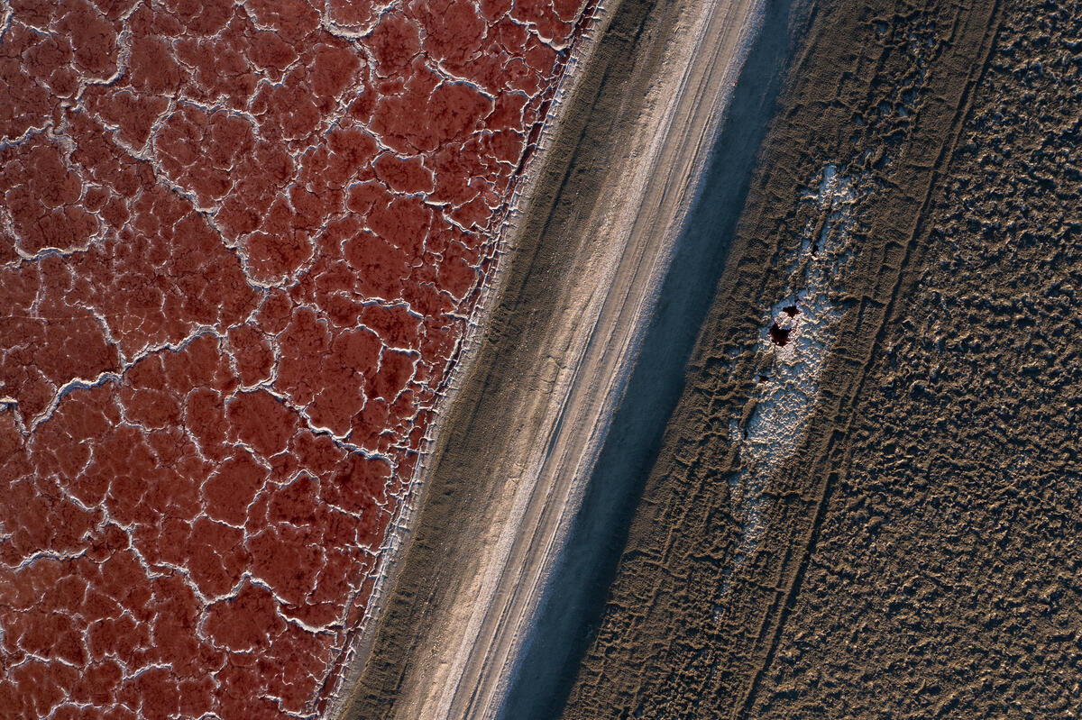 California Copes with Worsening Drought. © David McNew / Greenpeace
