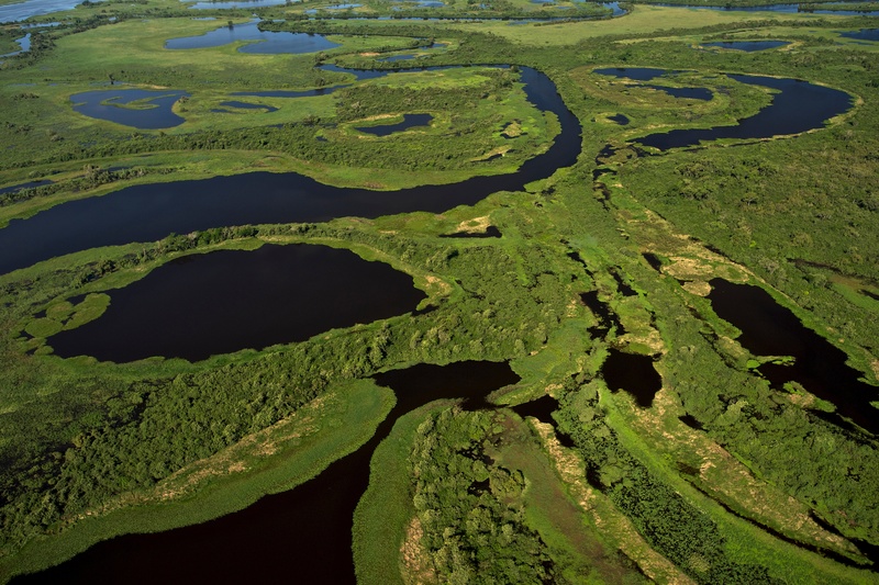 luftfoto af Pantanal-vådområderne i Brasilien.