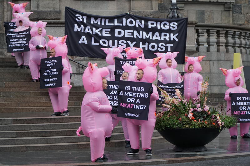 Greenpeace-protest imod Danmarks klimaskadelige storproduktion af kød.