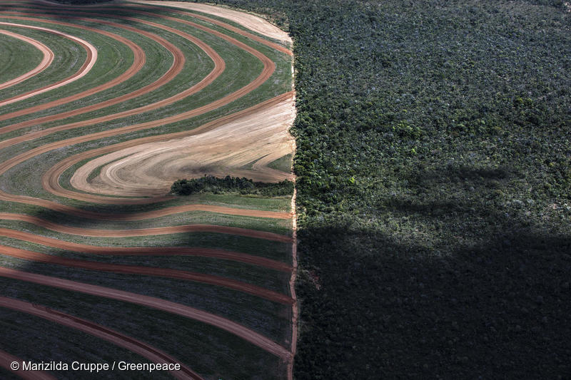 Skovrydning af tropisk skov i Brasilien. På venstre side er skoven ryddet og omdannet til landbrug, mens højre side fortsat er intakt skov. 