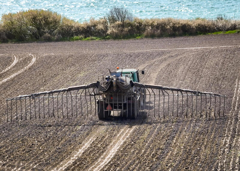 Storproduktionen af kvæg og svin er en hovedårsag til biodiversitetskrisen