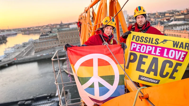 Bliv Greenpeace-aktivist