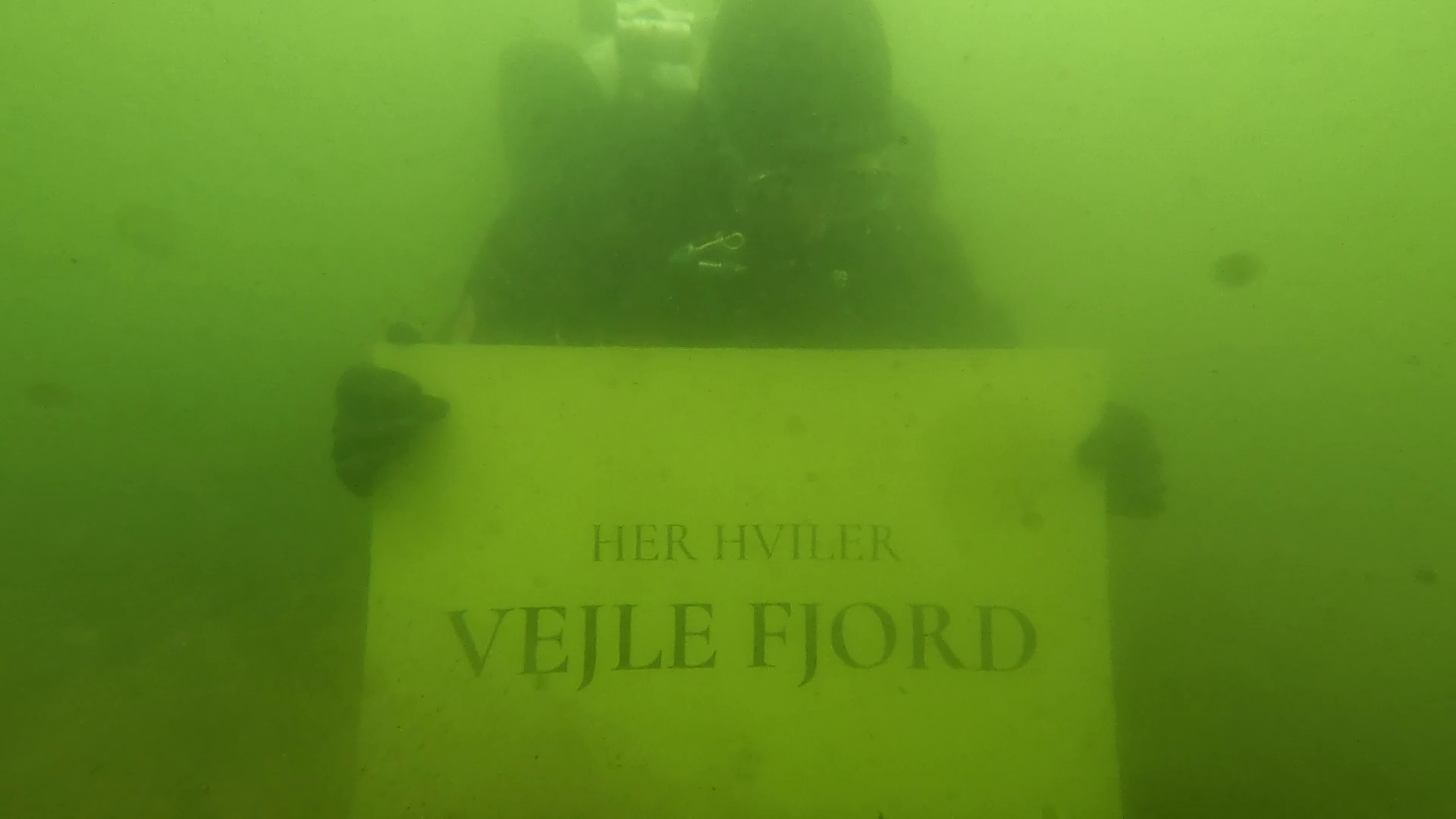 Dykkere i Vejle Fjord