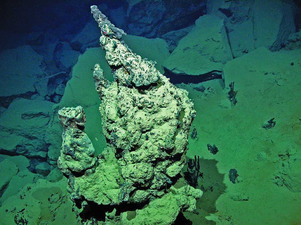 Knipovich venting on the Arctic Mid-Ocean Ridge ©MARUM – Center for Marine Environmental Sciences, University of Bremen Knipovich venting on the Arctic Mid-Ocean Ridge
©MARUM – Center for Marine Environmental Sciences, University of Bremen