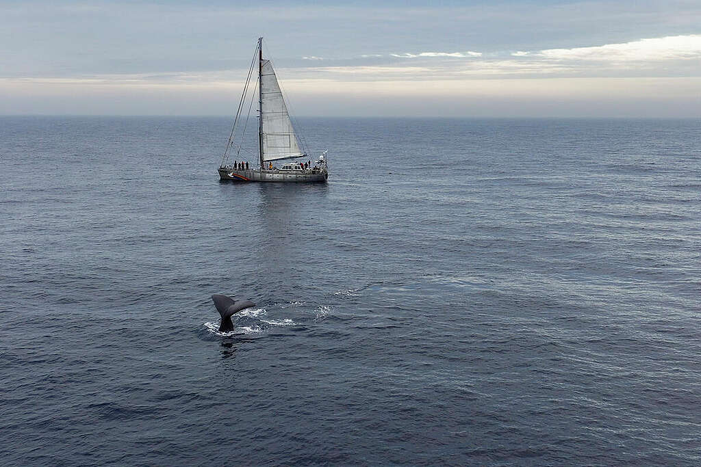 Norwegian Deep Sea Mining ship tour - Hydrophone survey. © Christian Åslund / Greenpeace
