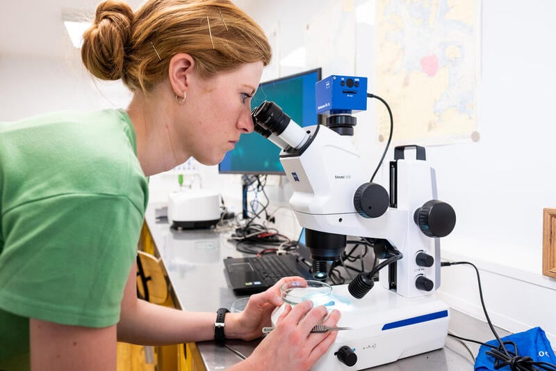 Mikroplastik fundet i menneskelige organer