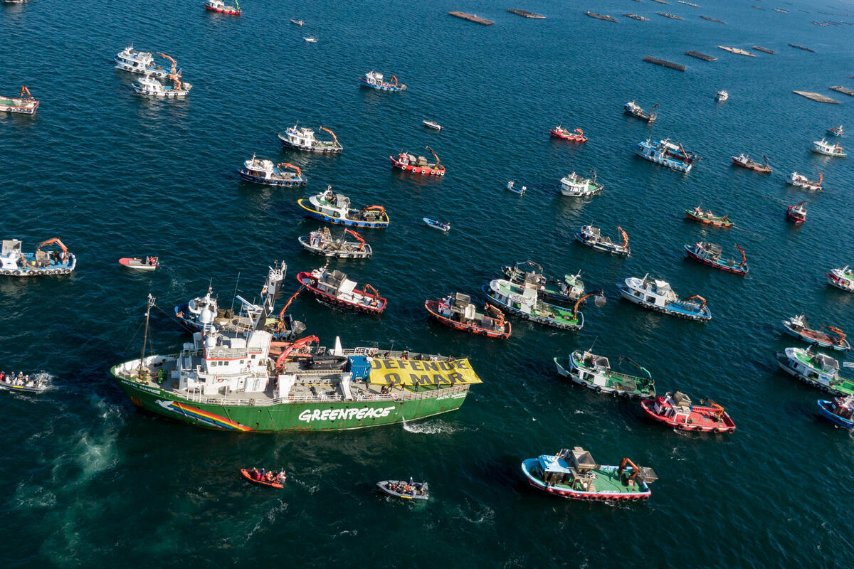Fleet Demands Oceans Protection in Vilagarcía de Arousa, Spain. © Pedro Armestre / Greenpeace Arctic Sunrise sejler i Arousa-flodmundingen sammen med lokale, skånsomme fiskere for at kræve større beskyttelse af havet i området, Galicien, Spanien © Pedro Armestre / Greenpeace
