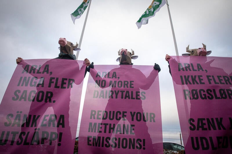 Greenpeace klager til Erhvervsstyrelsen over Arlas vildledende klimatal og greenwashing