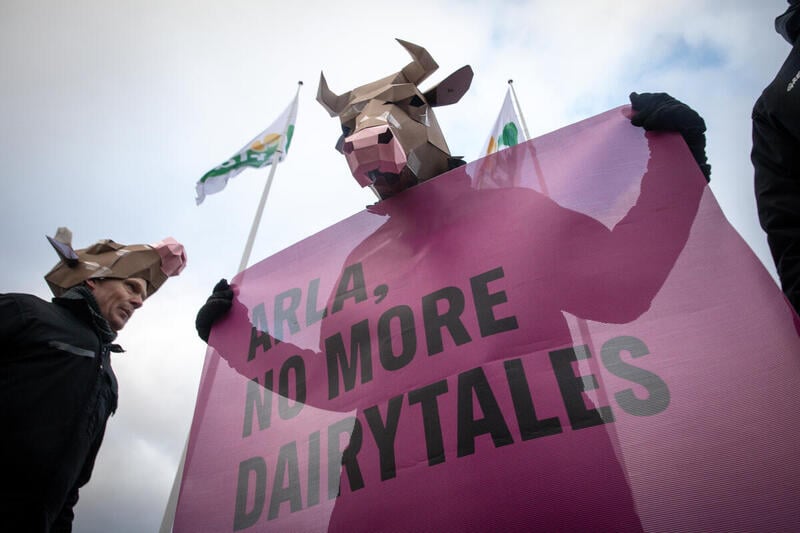 Greenpeace files complaint over Arla’s misleading climate figures