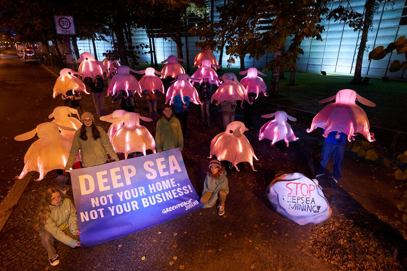 Greenpeace-aktivister protesterer mod dybhavsminedrift i Norge