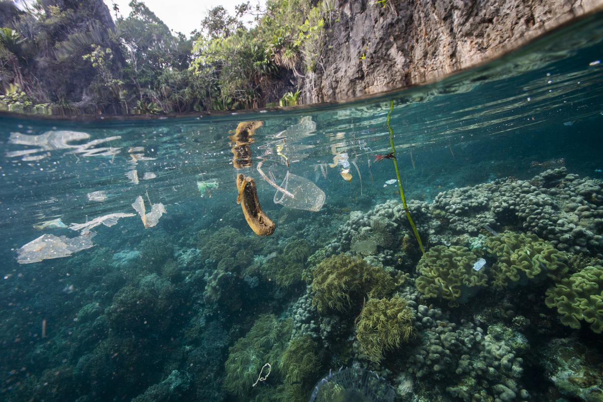 Plastic Pollution in the Sea, Raja Ampat, Papua, Indonesia. © Paul Hilton / Greenpeace Plastic Pollution in the Sea, Raja Ampat, Papua, Indonesia. © Paul Hilton / Greenpeace