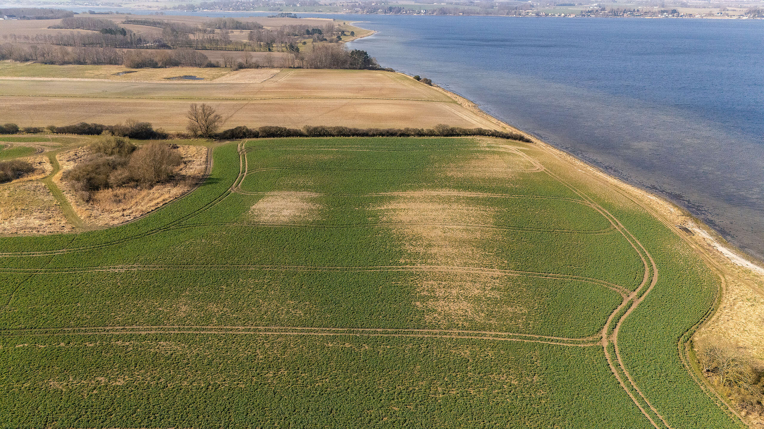 Kortlægning: nitrat i drikkevandet truer sundheden