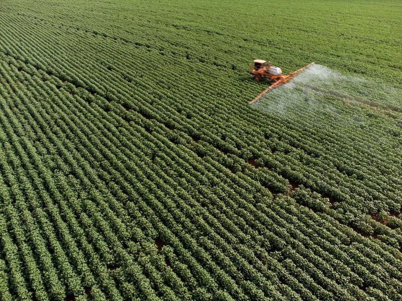 Sojamarker i Brasilien sprøjtes med pesticider