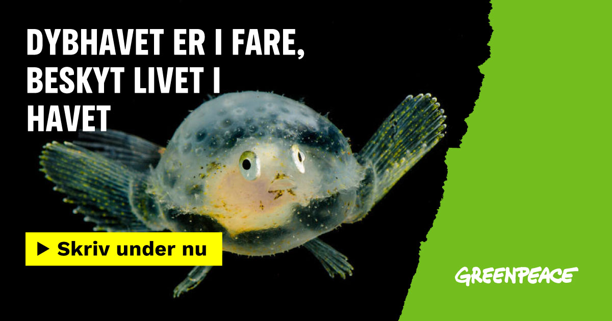 Stop dybhavsminedrift, før det er for sent 💙