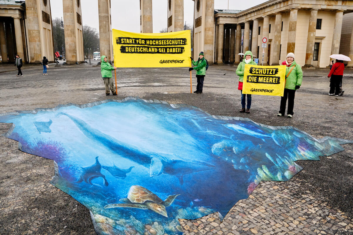 Ground Mural to Celebrate Global Ocean Treaty in Berlin. © Verena Brüning / Greenpeace