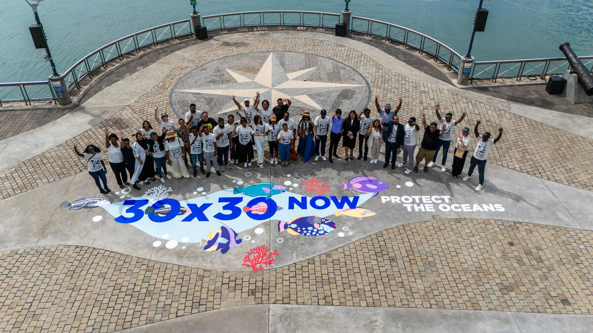 Historisk havtraktat i hus – nu skal der spurtes for 30 procent beskyttelse