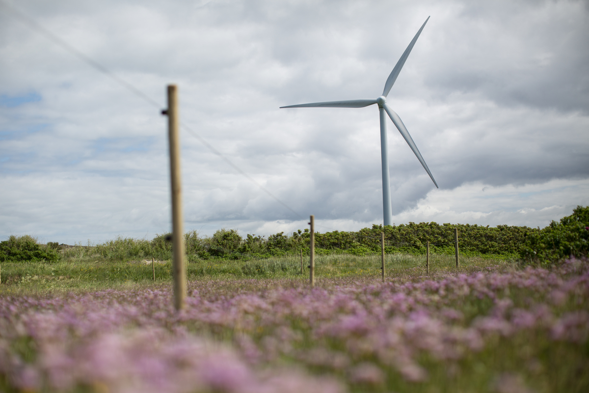 Korthuset falder: Klimarådet viser, at regeringen ikke viser vej til 70-procentsmålet