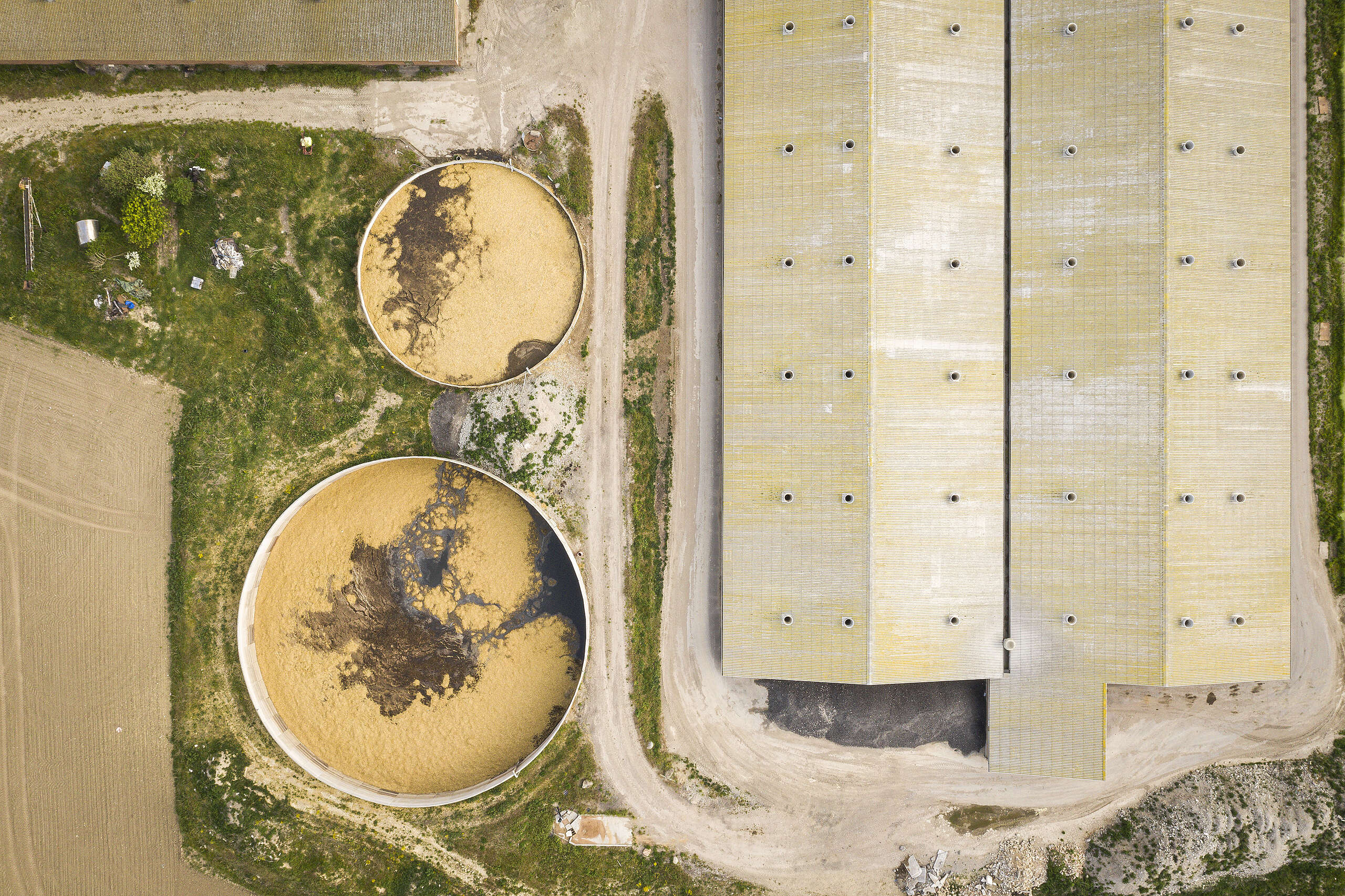 Greenpeace efter kritik fra Rigsrevisionen: Fødevareministeriet skal lukkes