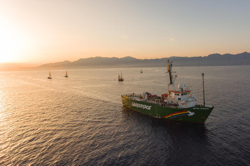 Hvorfor Greenpeace stævnede ud med Sunrise Arctic og Global Sumud Flotilla for at sejle til Gaza, og hvad der er sket