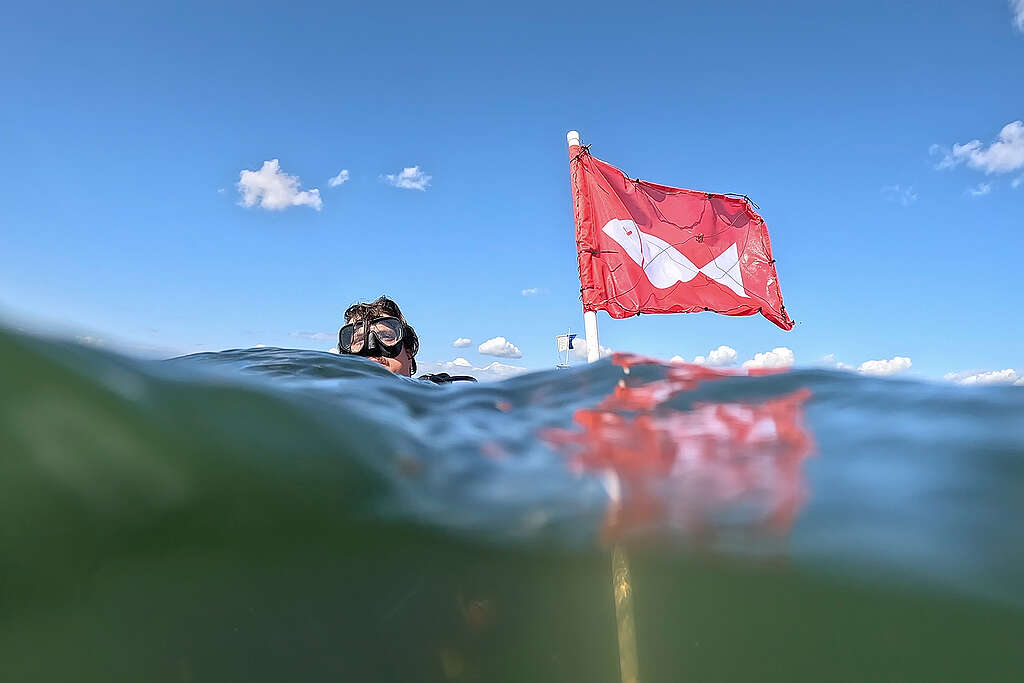 Greenpeace bring oxygen depletion crisis to the surface - raising a red flag for fish