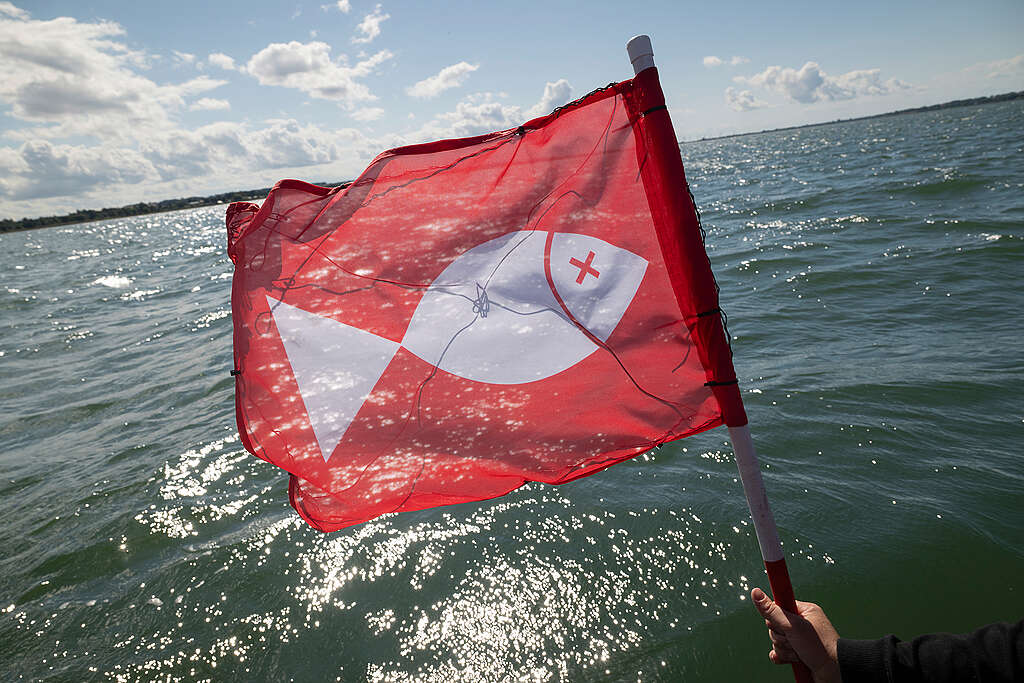 Greenpeace bring oxygen depletion crisis to the surface - raising a red flag for fish