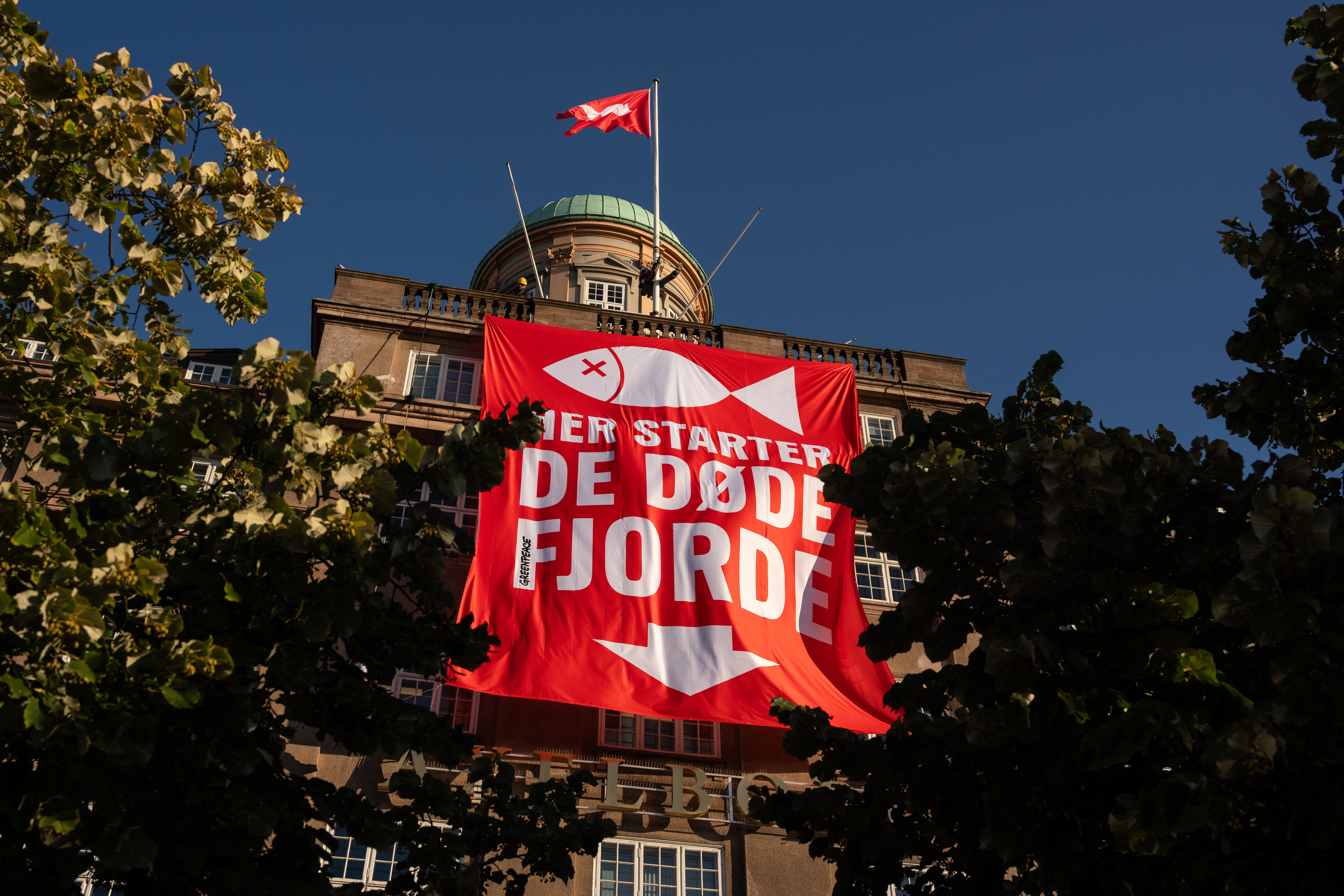 Greenpeace i aktion hos Landbrug & Fødevarer: “Her starter de døde fjorde”