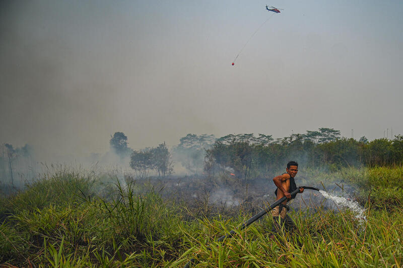 Forest Fires & Haze in Palembang, Indonesia En bonde i Palembang i Indonesien forsøger at få kontrol over en skovbrand, der har spredt sig til hans chili plantage.