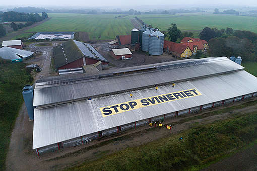 End this Meat Madness Protest in Denmark. © Erik Albertsen / Greenpeace End this Meat Madness Protest in Denmark. © Erik Albertsen / Greenpeace
