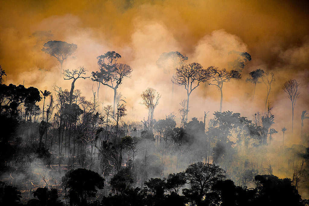 Deforestation and Fire Monitoring in the Amazon in August, 2020. © Christian Braga / Greenpeace