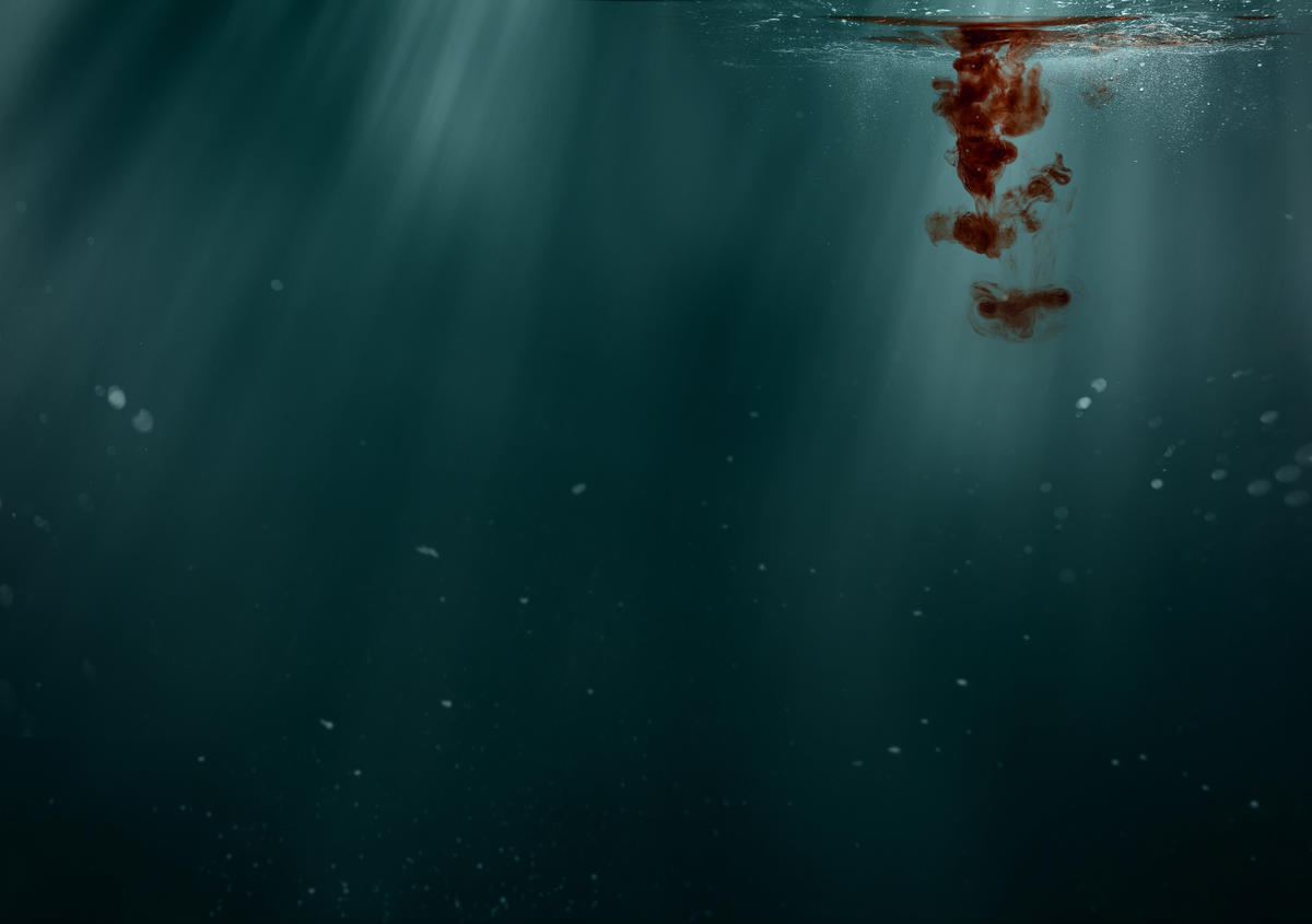 Misery at Sea - Taiwan Distant Water Fisheries Report Cover. © Andrea Lo Vetere / Greenpeace