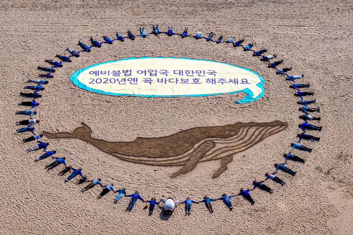 Sand Whale at Haeundae Beach in Busan, S. Korea. © Sungwoo Lee / Greenpeace