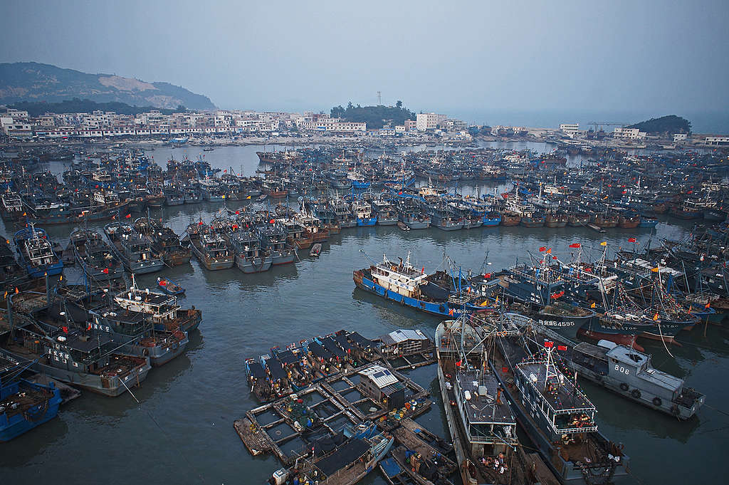 Fishing Vessels in China. © Wen Wenyu / Greenpeace