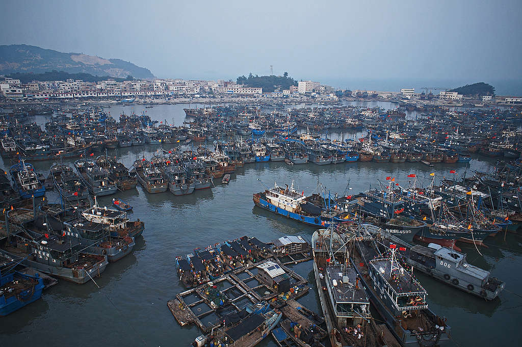 Fishing Vessels in China. © Wen Wenyu / Greenpeace Fishing Vessels in China. © Wen Wenyu / Greenpeace