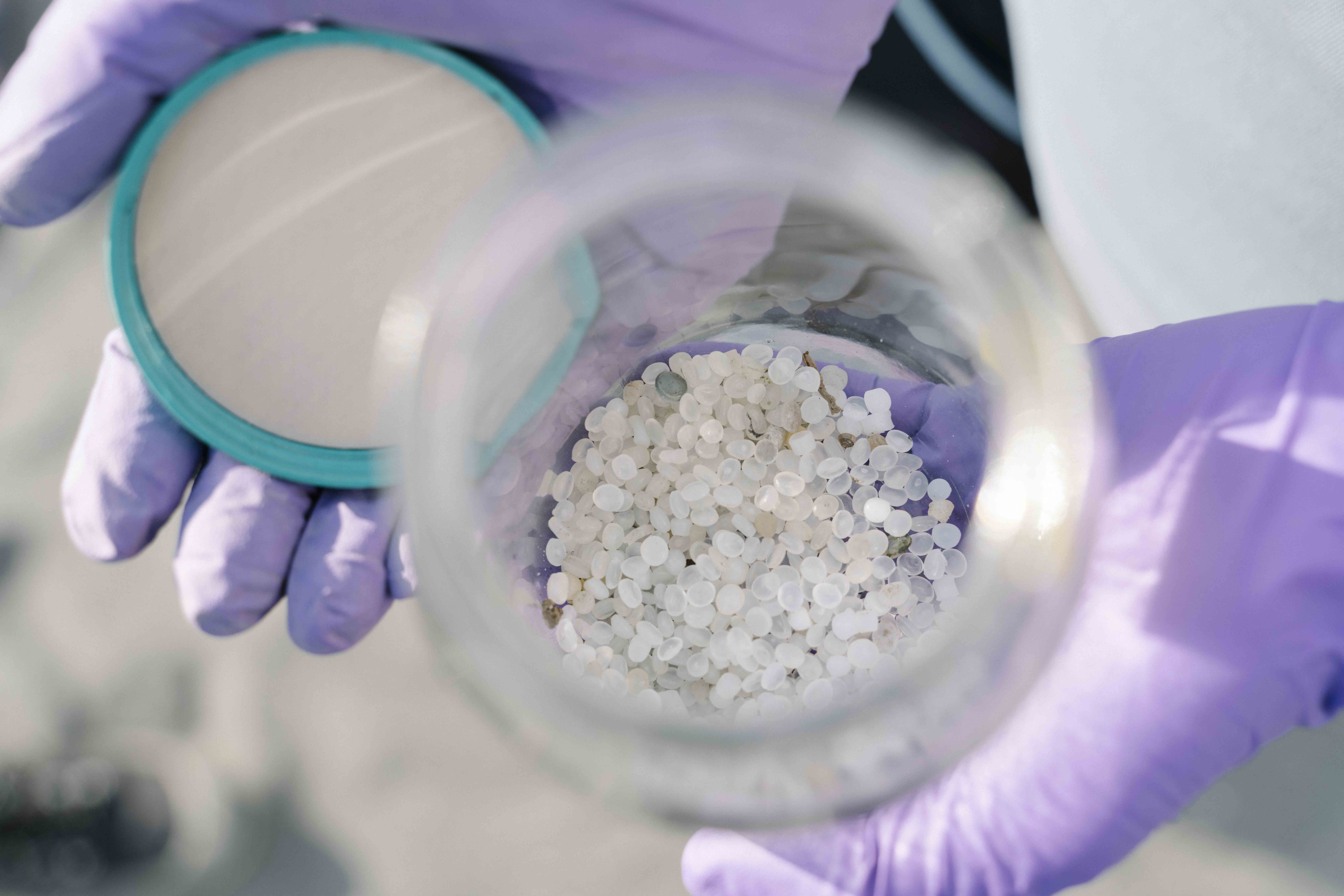 Greenpeace Publishes Taiwan's First Systematic Research on Plastic Nurdle Pollution