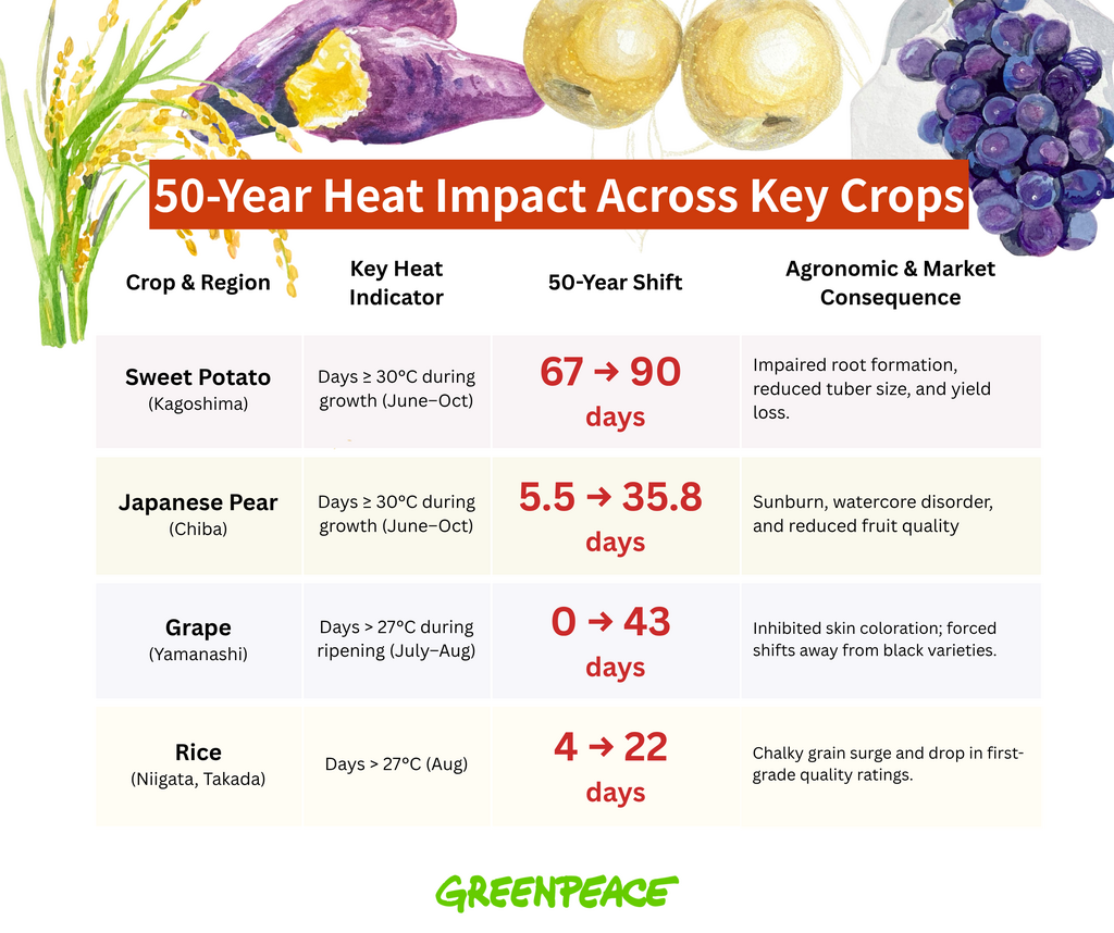 jp autumn agri report