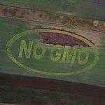 EU Parliament opposes import of three herbicide-resistant GM crops