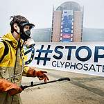 Conflict of interest concerns blight new glyphosate safety assessment