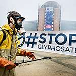 Commission tries to extend use of toxic glyphosate beyond 2023 – Greenpeace 