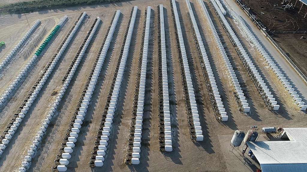 Dairy Factory Farm in Caparroso, Spain. © Tania Garnica / Greenpeace