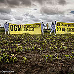 New GMOs: danger ahead