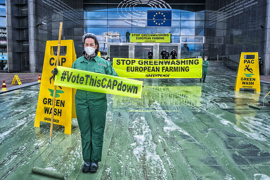 Activists colour EU Parliament green to expose greenwashing of farming reform - Greenpeace European Unit