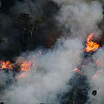 EU negotiators must protect forests and human rights