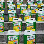 EU food safety authority waves through glyphosate despite safety concerns